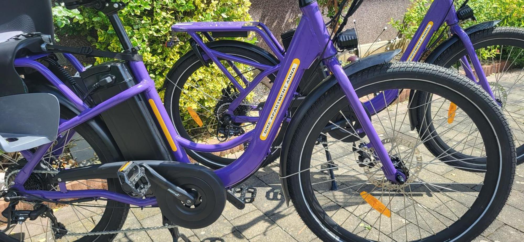 Zwei Schlafzimmer Ferienapartment Anna Am Stubenbergsee Inklusive Vier E-Bikes Eksteriør bilde