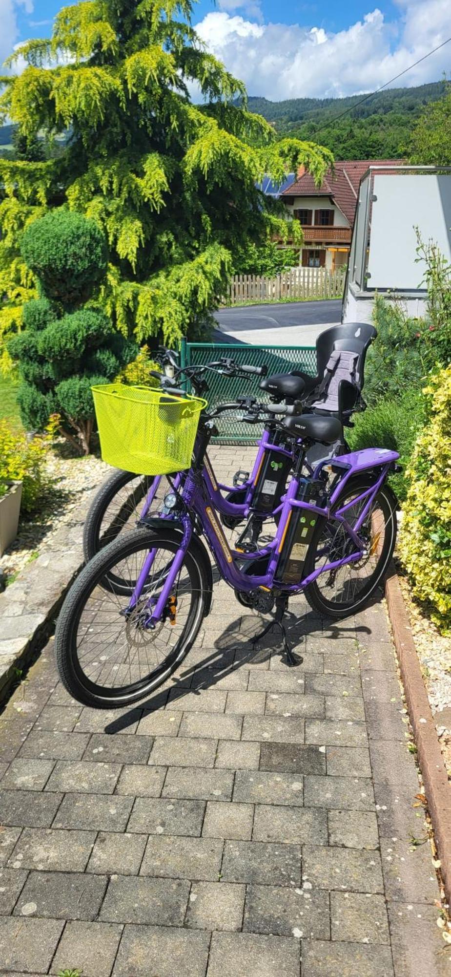 Zwei Schlafzimmer Ferienapartment Anna Am Stubenbergsee Inklusive Vier E-Bikes Eksteriør bilde