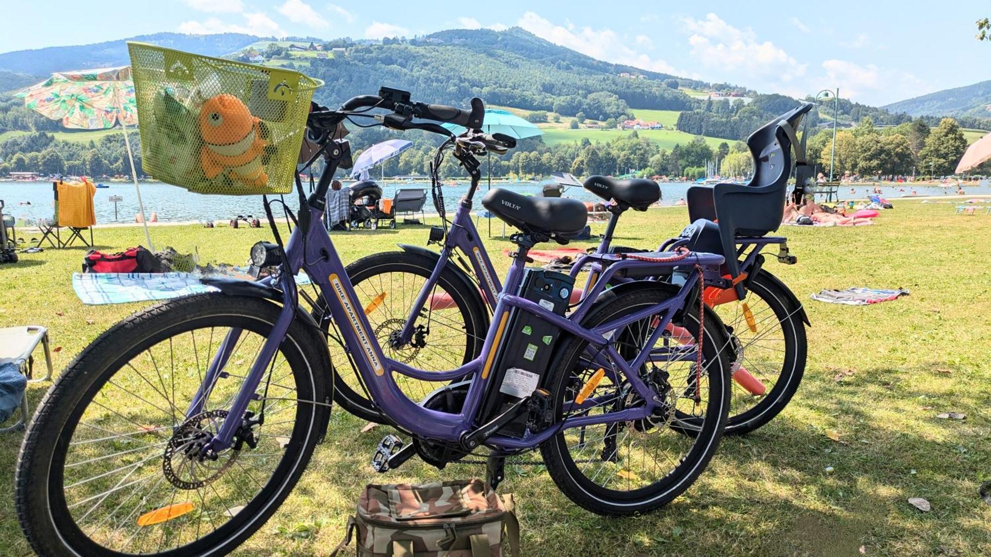 Zwei Schlafzimmer Ferienapartment Anna Am Stubenbergsee Inklusive Vier E-Bikes Eksteriør bilde